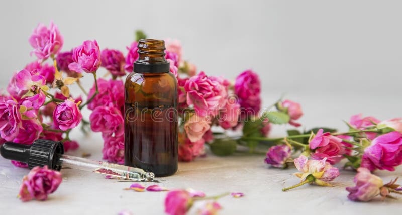 Αυξήθηκε πετρέλαιο Η SPA και aromatherapy αυξήθηκε μπουκάλι ουσιαστικού πετρελαίου λουλουδιών με το σιφώνιο στοκ φωτογραφίες